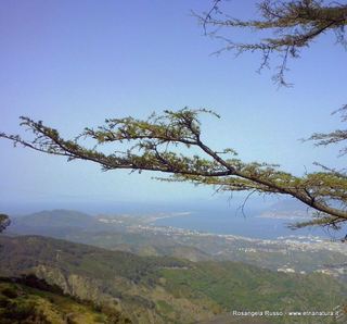 ntuario Dinnammare-10-05-2015 19-00-50